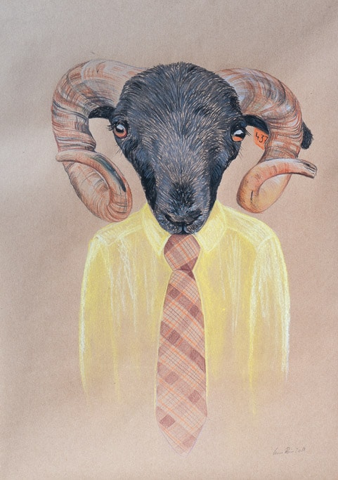 Mouton à cravate, Pastel sur carton, by Laure Boin